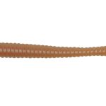 Larva Berkley PBHFMT3-FRN PWRBT FLTGMCTLS 3IN FLRDNAT