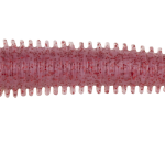 Vierme Berkley GSFS4-CLRR GULP SW FATSNDWM 4IN CLRR