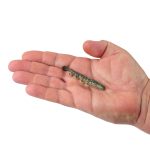 Soft Bait Berkley GSTBS3-PPRW GULP SW TRBOSHRMP 3IN PPRWN - imagine 3