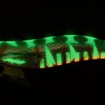 Vobler Calamar Savage Gear Squid Dealer 2.5 3.9sec/M Green Shrimp