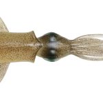 Naluca Savage Gear 3D SWIM SQUID 25CM 86G S GREEN EYE