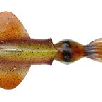 Naluca Savage Gear SWIM SQUID RTF 25CM 160GR S HORNY SQUID