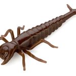FishUp Diving Bug 5cm #012 Chaos