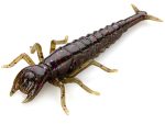FishUp Diving Bug 5cm #050 Green Pumpkin Brown Red & Purple