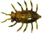 FishUp Maybug 3.3cm #036 Caramel Green and Black