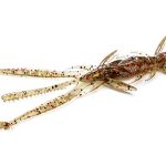 FishUp Shrimp 7.6cm #045 Green Pumpkin Red and Black