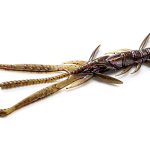 FishUp Shrimp 7.6cm #050 Green Pumpkin Brown Red and Purple
