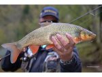 FishUp Stonefly 2.1cm #042 Watermelon Seed - imagine 3