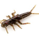 FishUp Stonefly 2.1cm #050 Green Pumpkin Brown Red & Purple