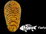 FishUp Tanta 8.9cm #042 Watermelon Seed - imagine 3