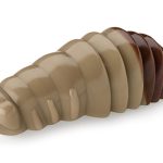 FishUp Trout Series Maya Cheese 4.6cm #138 Coffee Milk Earthworm