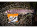 FishUp Trout Series Pupa Crawfish 3.2cm #134 Cheese White - Image 2