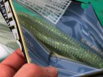 Keitech Easy Shaker Sexy Shad 426 6.3cm - Image 4