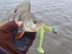 Keitech Swing Impact Slim Grape Shad PAL#12 10cm - imagine 5