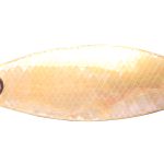 Lingurita oscilanta Smith Pure Shell 6.5g 01 S