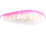 Lingurita oscilanta Smith Pure Shell 6.5g 16 S
