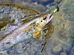 Lingurita rotativa Smith AR-S Spinner Trout 4.5g 04 RSBK - imagine 3
