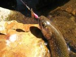 Lingurita rotativa Smith AR-S Spinner Trout 4.5g 20 PWPI - imagine 4