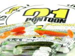 Pontoon21 Awaruna 112 - imagine 4