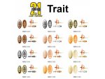 Pontoon21 Trait 0 3.7g NB04-001 - imagine 2