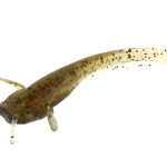 Shad FishUp Catfish 5cm #045 Green Pumpkin Red and Black