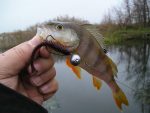 Shad Keitech Swing Impact, Culoare 407 Delta Craw, 8.9cm, 8buc/plic - imagine 4