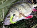 Shad Keitech Swing Impact Slim Silver Flash Minnow 416 8.9cm - imagine 3