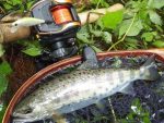 Vobler Smith AR-FS Minnow 45mm 3.7g 5 S - imagine 3