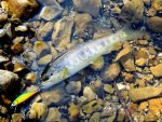 Vobler Smith AR-FS Minnow 45mm 3.7g 5 S - imagine 5