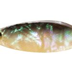 Smith Pure Shell 3.5g 08 BK