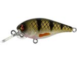 Vobler River2Sea Biggie 37DD 3.7cm 3.6g Real Perch 09 F