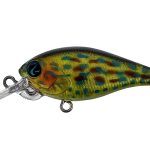 Vobler River2Sea Biggie 37DD 3.7cm 3.6g Real Sunfish 10 F