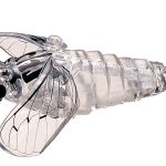 Vobler Smith Bisen 38mm 2.6g 21