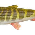Soft Bait Savage Gear 3D HERRING SHAD 28cm 150g CL PIKE 1PCS