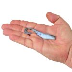 Soft Bait Berkley GSNPCT4-MLTS GLP NMSIS PRWN CRLT 4IN MTS - imagine 2