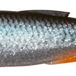 Shad Savage Gear Craft Dying Minnow, Roach 7.5cm, 5buc/plic