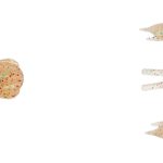 Soft Bait Savage Gear 3D CRAYFISH RATTLING 6.7CM 2.9G PH 8PCS