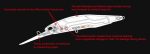 Vobler DUO Realis Jerkbait 100DR 10cm/15.6g, culoare Neo Pearl - imagine 3