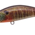 DUO SPEARHEAD RYUKI 45S 4.5cm 4gr CCC3357 True Gill