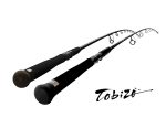 Lanseta Zenaq Tobizo TC84-100G Type R 2.53m/60-110g