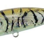 DUO TETRA WORKS POCOPOCO F 4.0cm 3gr CTA0375 Tiger Shrimp