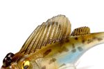 MEGABASS DARK SLEEPER 3 3/4oz 76mm 21gr WAKASAGI - imagine 3