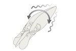Vobler MEGABASS FLAP SLAP SP-C 77mm 10.5gr LIGHTNING SHAD - Image 4