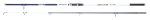 Lanseta Spinning SALT SURF/PIER 302 10FT - 4-6OZ