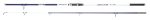 Lanseta Spinning SALT SURF/PIER 302 10FT - 4-6OZ