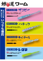 Worm Major Craft Aji-Do Worm Candoll 5cm, culoare 009 Okiami Keimura - imagine 3