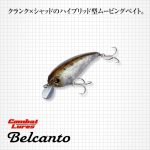 Vobler EVERGREEN BELCANTO 6.3cm 10gr #66 FLASH CROWN - imagine 2