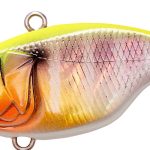 Vobler MEGABASS VIBRATION-X DYNA RATTLE IN 51mm 10.5gr GG CHART BACK GILL