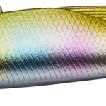 Cicada EVERGREEN MARVIE 70 7.0cm 15gr #861 SILVER POWDER GOLD CANDY