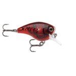 BX BRAT BIG BXBB06 DEL